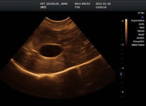 Échographe portable de haute qualité à prix abordable, système de diagnostic ultrasonore à double écran, échographe vétérinaire avancé pour usage vétérinaire - Product Image 6