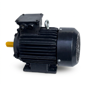 Motor industrial trifásico de 3 hp de alta eficiencia, máquina eléctrica de construcción robusta y rendimiento duradero para fábricas y talleres. - Product Image 1