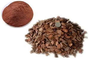 Bulk Natural Pine Bark <b>Extract</b> Food Grade 95% Proanthocyanidins Pine Bark <b>Extract</b> - Product Image 3