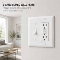BAREP YGC-026 Plaque de couverture murale pour interrupteur à bascule décoratif 2 gangs CETLus en PC incassable avec vis