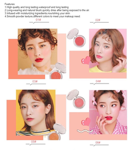 Di Vendita caldo Singolo Colore Blush Viso Guancia Pressed Powder OEM Fard Palette Mette In Evidenza di <span class=keywords><strong>zampa</strong></span> di gatto MOQ basso no logo - Product Image 4