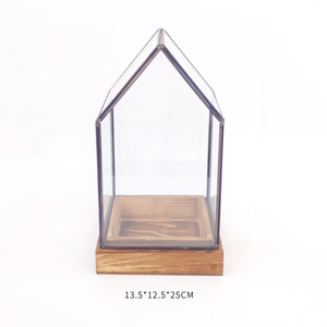 Terrario Geométrico de Vidrio en Forma de Pentágono <span class=keywords><strong>Grande</strong></span> para Plantas, Adornos para <span class=keywords><strong>Decoración</strong></span> de Interiores, Hogar, Jardín y Oficina - Product Image 4