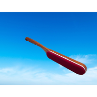 Brosse à tapis ergonomique GENERAL FIX Srl, brosse à sol robuste de qualité supérieure, outil de nettoyage durable, manche en bois TPR
