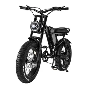 Elektrischer Schritt Usa Eu Warehouse Fat Tire Elektro fahrrad 500w 20 Zoll Dirt E-Bike Fabrik preis 15ah 48v Elektro fahrrad