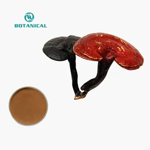 B.C.I אספקת 100% טבעי Ganoderma מחזירת אור Spore אבקת תמצית ריישי אבקה