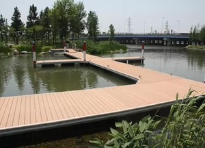 Paneles <span class=keywords><strong>de</strong></span> Suelo para Exterior AOLO AL-K146-23A <span class=keywords><strong>de</strong></span> <span class=keywords><strong>Madera</strong></span> Plástica Compuesta (WPC) para Jardín/Calle - Diseño Contemporáneo con Superficie Lisa - Product Image 3