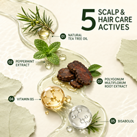 Shampoing Bio Quotidien pour la Croissance Capillaire OEM ODM Marque Privée – Huile d'Arbre à Thé & Menthe Romarin Naturelle pour la Prévention de la Chute des Cheveux