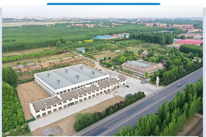 Энергоэффективная морозильная камера для хранения останков человека с одним/несколькими корпусами и предохранительным замком - Product Image 6