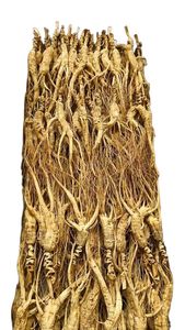 Kualitas Premium baru dipanen tumbuhan alami 25 tahun <span class=keywords><strong>Ginseng</strong></span> liar tumbuh di bawah kanopi hutan - Product Image 2