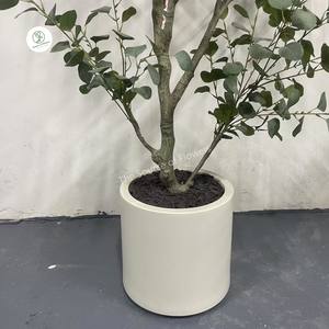 Venta al por mayor decoración del hogar Planta artificial seca eucalipto flor seca en maceta inmortal hoja de eucalipto artificial bonsái - Product Image 4