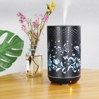 Diffuseur d'huiles essentielles ultrasonique décoratif en fer de la série Iron avec lumière LED