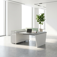 Poste de travail moderne et durable en panneau de particules E1, avec armoire latérale, écran de confidentialité, pieds inclinés, bureau double pour deux utilisateurs