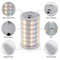 Ampoule LED rechargeable RGB 15 couleurs avec télécommande E26 E27 USB-C, lumière d'ambiance magnétique décorative pour la décoration de la maison