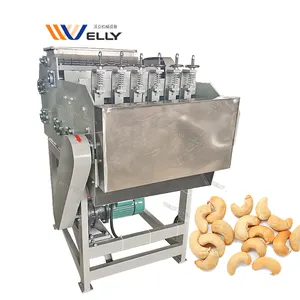 Ontdooien Noten Snijden Fabriek Sheller Automatische Volledige Peeling Cashewnoot Verwerking Beschietmachine