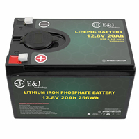Baterai LiFePO4 12V 20Ah dengan Port USB A+C & Voltmeter, Performa Cuaca Dingin untuk Memancing di Es, Solusi Daya Portabel untuk Kayak