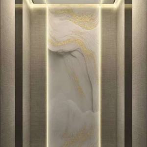 Ascensor Residencial para Viviendas con Puerta Automática, Sensor de Seguridad, Acero Inoxidable y Aluminio, Capacidad de 400 kg - Product Image 2