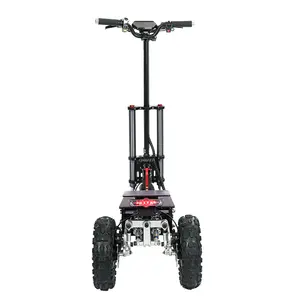 New product Non zero Start 3 wheel e scooter fat tire fat tire electric scooter 53kg net weight electric scooter 4000 watt