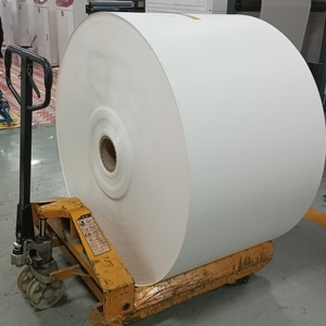 Rollos de Papel para Vasos Recubiertos de PE, Duraderos, de Alta Rigidez, para Seguridad y Salud - Product Image 1