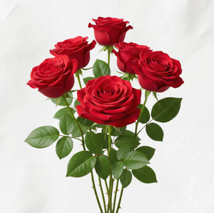 TW Rose PDRN 1000ppm, Materia Prima Cosmética Derivada de Plantas, Extracto de Polinucleótidos de Rosa Damascena, Regeneración de la Piel, Antienvejecimiento - Product Image 2