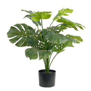 <span class=keywords><strong>2025</strong></span> Bán Hàng Nóng Nhân Tạo Nhà Máy Trang Trí Bonsai Bất Cảm Ứng 77Cm 15 Lá Monstera Cây Nhân Tạo - Product Image 1