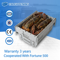 Caisse à homards en plastique HDPE de qualité marine 600x400x300mm, empilable, emboîtable, résistante à l'eau salée, boîte de stockage logistique pour fruits de mer