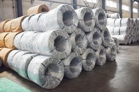 Alambre de Hierro Galvanizado: Precisión para Malla de Taller de Semiconductores de Grado Industrial