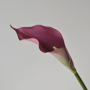 Venta caliente grande <span class=keywords><strong>Calla</strong></span> EVA lirio artificial Reino Unido boda flor artificial flor colgante pu <span class=keywords><strong>calla</strong></span> - Product Image 6