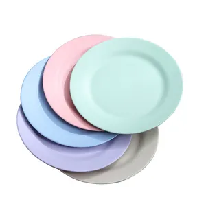 Set d'assiettes multicolores pour aliments, fruits et snacks, paille de blé, vaisselle, assiettes rondes pour restaurant