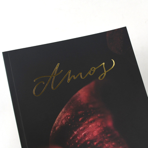 Impresión de Libros de Tapa Blanda Personalizados, Encuadernación Perfecta, Cubierta de Papel de Arte para Novelas, Libros de Texto y Revistas - Product Image 5