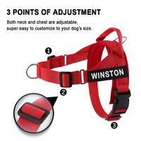 À la mode sans traction chien harnais pour animaux de compagnie harnais laisse ensemble respirant Nylon réfléchissant selle poitrine sangle Anti-évasion avec poignée