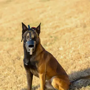 2024 Großhandel Basket Strike Atmungsaktive Hunde training Mündung Heavy Duty Tactical Scary Leder Schnauze für Tough Dog