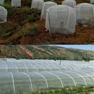 China Factory Supplies Insect-proof Nets For Agricultural Greenhouses