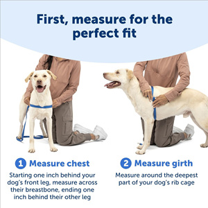 Harnais anti-emmêlement avec clip frontal anti-traction, sangle en nylon réglable, harnais <span class=keywords><strong>pour</strong></span> chien en nylon durable <span class=keywords><strong>pour</strong></span> la promenade et l'entraînement - Product Image 4
