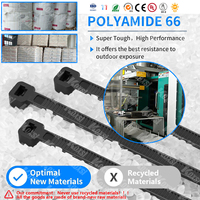4.8x200mm Attache de câble en nylon autobloquante de haute qualité 100pcs Attache de câble zippée écologique en plastique Nylon 66 Prix de fabrication