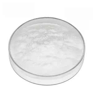 Großhandel Bio-Kokosmilch pulver Bulk Coconut Cream Powder