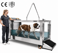 Unterwasser-Laufband für Hunde, Wasserlaufmaschine für Große Hunde, Unterwasser-Laufband für Training und Hydrotherapie zum Verkauf