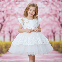 Robe de Fille Enfant Fleurie Charmante de Fée, Sans Manches, avec Applique en Dentelle à l'Arrière en Forme de Papillon Rose, Design Mignon et Gonflé, Dernier Modèle 2025