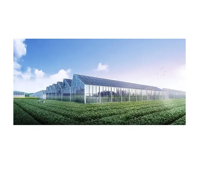 Agrar technologie Multi-Span Venlo Landwirtschaft Transparente Sonnen kollektoren Gewerbliche strukturelle Solar gewächshaus
