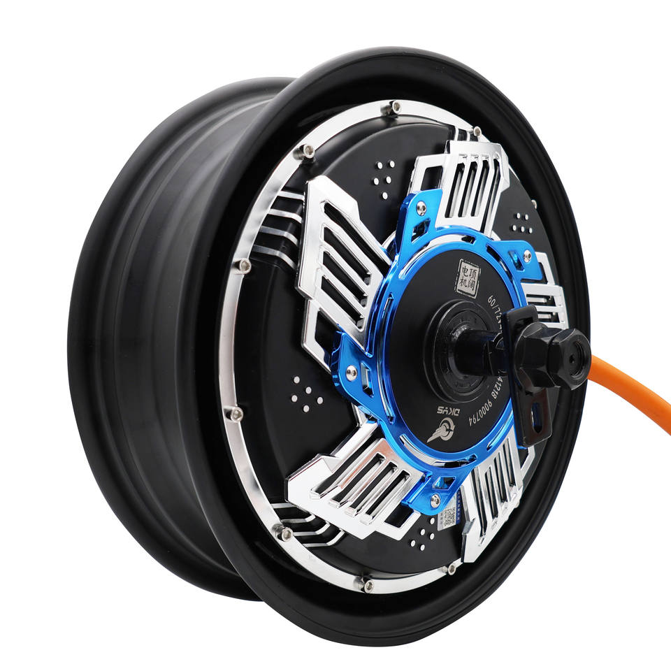 DK MOTOR High Performance DC Motors 12