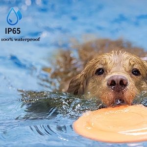 <span class=keywords><strong>Dog</strong></span> Training Tools Remote Ultraschall Wasserdicht <span class=keywords><strong>Anti</strong></span>-<span class=keywords><strong>Bark</strong></span> <span class=keywords><strong>Dog</strong></span> Trainer Hunde training Halsband Bellen Kontroll geräte - Product Image 4