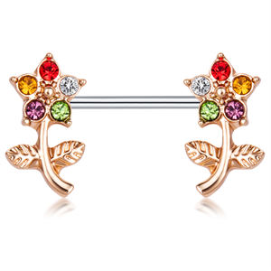 Anneaux <span class=keywords><strong>de</strong></span> tétons <span class=keywords><strong>de</strong></span> styles variés en acier inoxydable, bijoux <span class=keywords><strong>de</strong></span> corps tendance, barres d'oreille sexy, piercings, boucles d'oreilles, bouclier <span class=keywords><strong>de</strong></span> téton, barre <span class=keywords><strong>de</strong></span> <span class=keywords><strong>piercing</strong></span> - Product Image 2