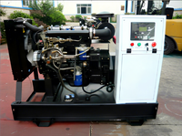 RAYMING 10KW YANGDONG Motor Dieselgenerator 50Hz Wassergekühlt mit Autostart ATS 12,5kVA für den Heimgebrauch