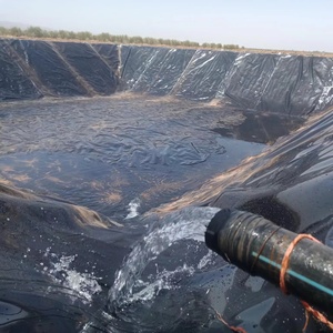 Bâche en PEHD/PEBD pour bassin, géomembrane la plus populaire en Afrique, taille et épaisseur personnalisées pour barrages, bassins et agriculture - Product Image 2