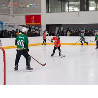 Planche de patinoire de hockey en HDPE résistant aux intempéries système de garde-corps de patinoire synthétique extérieure Floorball professionnel arène amovible