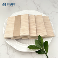 Bâtonnets de glace à l'eau personnalisés de 93*10*2mm Bâtonnets de crème glacée jetables en bois Bâtonnet de glace écologique en bouleau