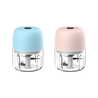 Hachoir et batteur à ail portatif mini en acier inoxydable avec recharge USB