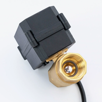 Factory Brass Mini Electric Ball Valves for Smart Home Sanitary Ware/Instruments & Meters