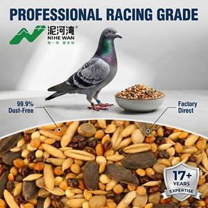 Nihewan Mélange de graines pour oiseaux : <span class=keywords><strong>Millet</strong></span> rouge chinois, <span class=keywords><strong>Millet</strong></span> glutineux, <span class=keywords><strong>Millet</strong></span> Proso, <span class=keywords><strong>Millet</strong></span> broomcorn, Graines pour canaris - Product Image 1