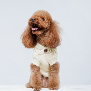 핫세일 도매 클래식 반려견 액세서리 따뜻하고 포근한 애견 스웨터 겨울 옷 - Product Image 5