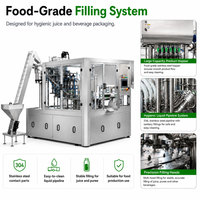 Machine d'emballage de remplissage de sachets de purée de jus Doypack horizontale entièrement automatique certifiée KL CE